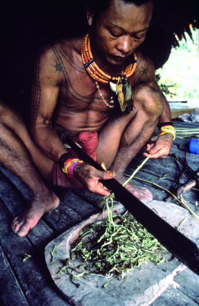 11 Mentawai_Indonhsia 001_c