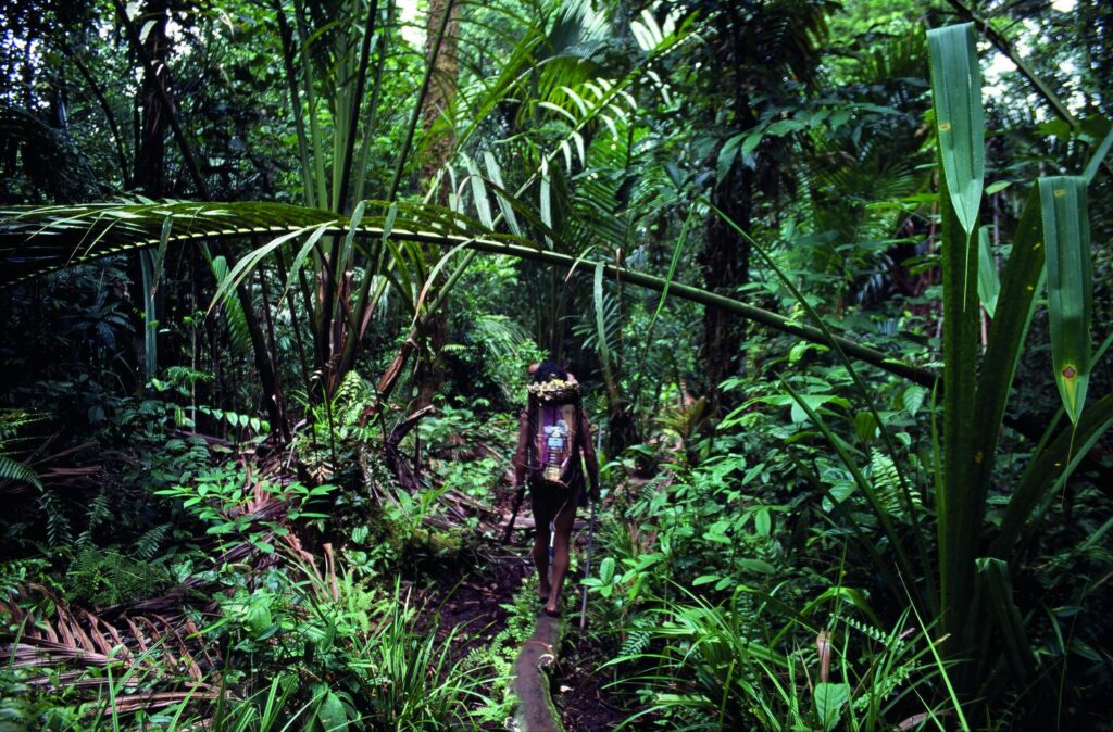 17 Mentawai _Indonhsia 001_c