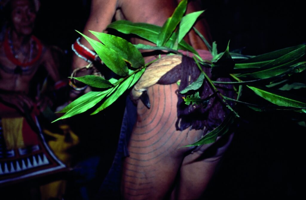 18 Mentawai_ Indonhsia 001_c