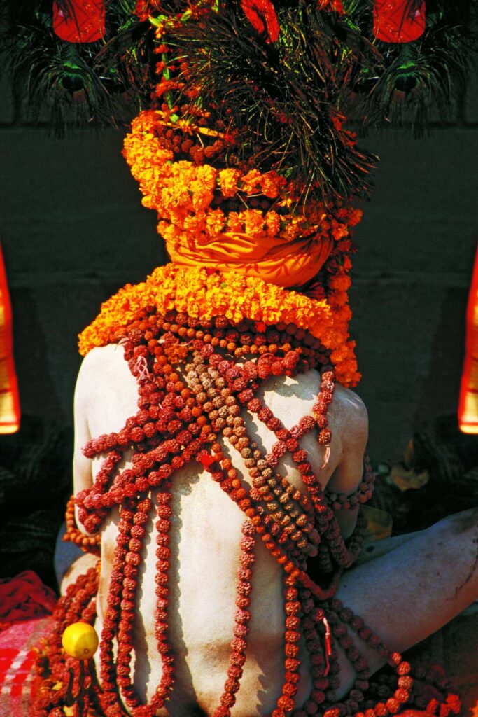 INDIA15