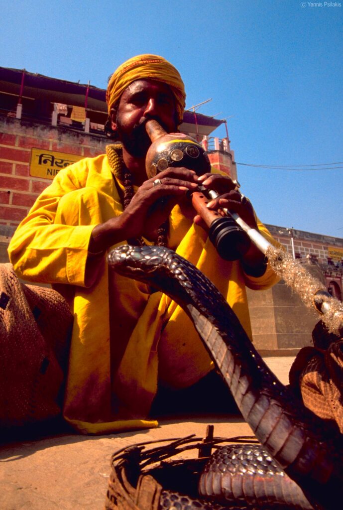 INDIA25