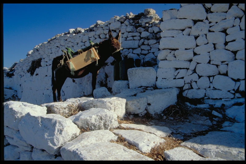 Mykonos 5