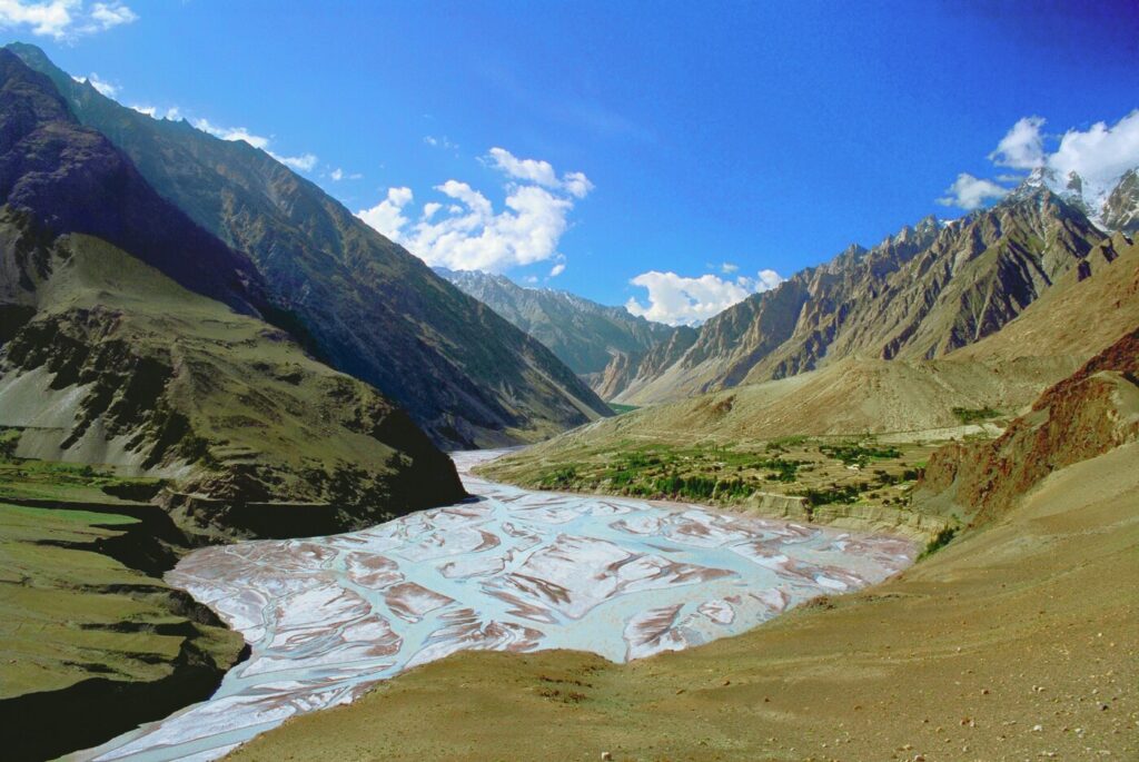 PAK25